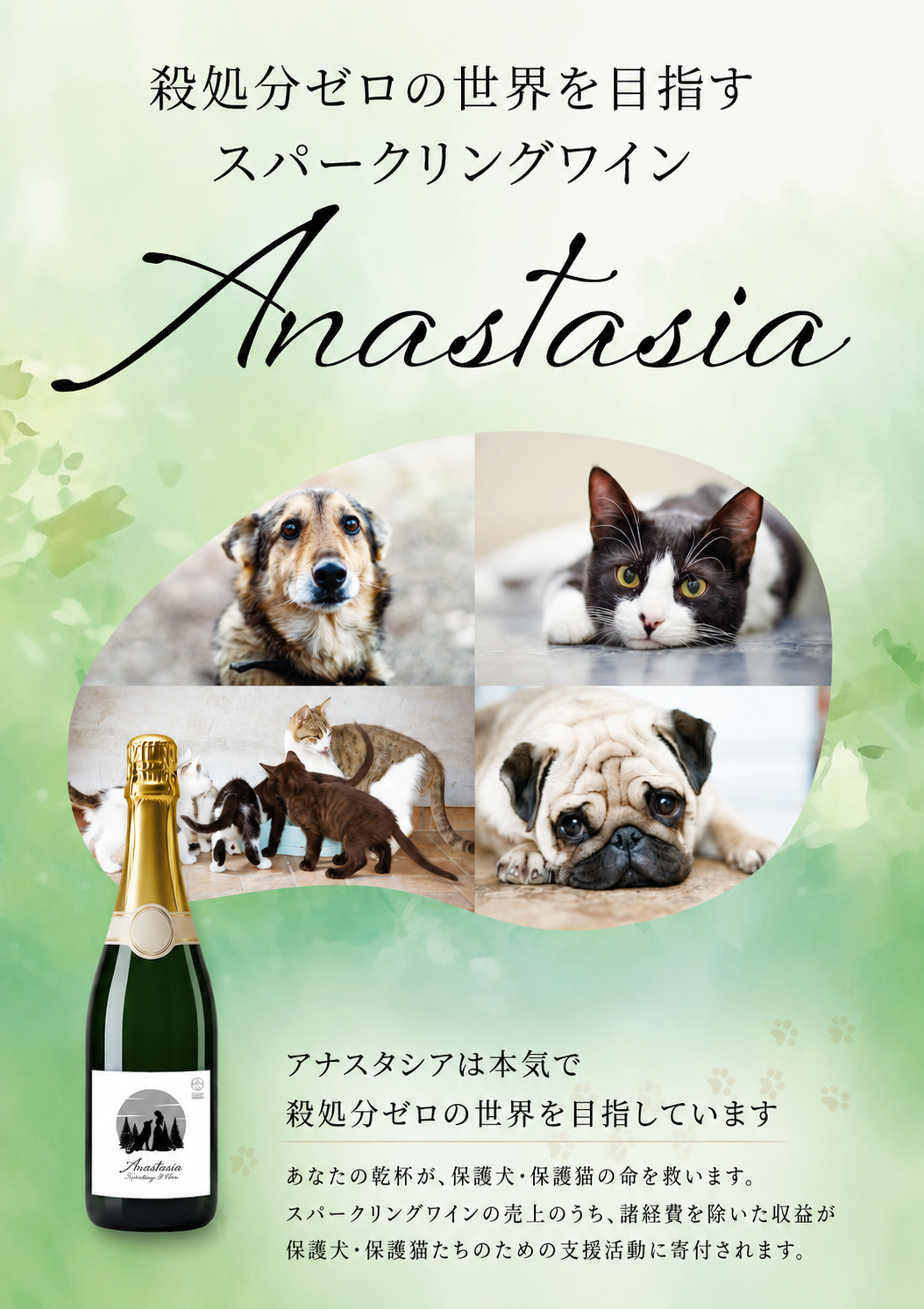 ANASTASIA — 殺処分ゼロの世界を目指すスパークリングワイン